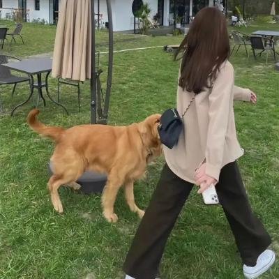作家的谎言：笔忠诱罪粤语